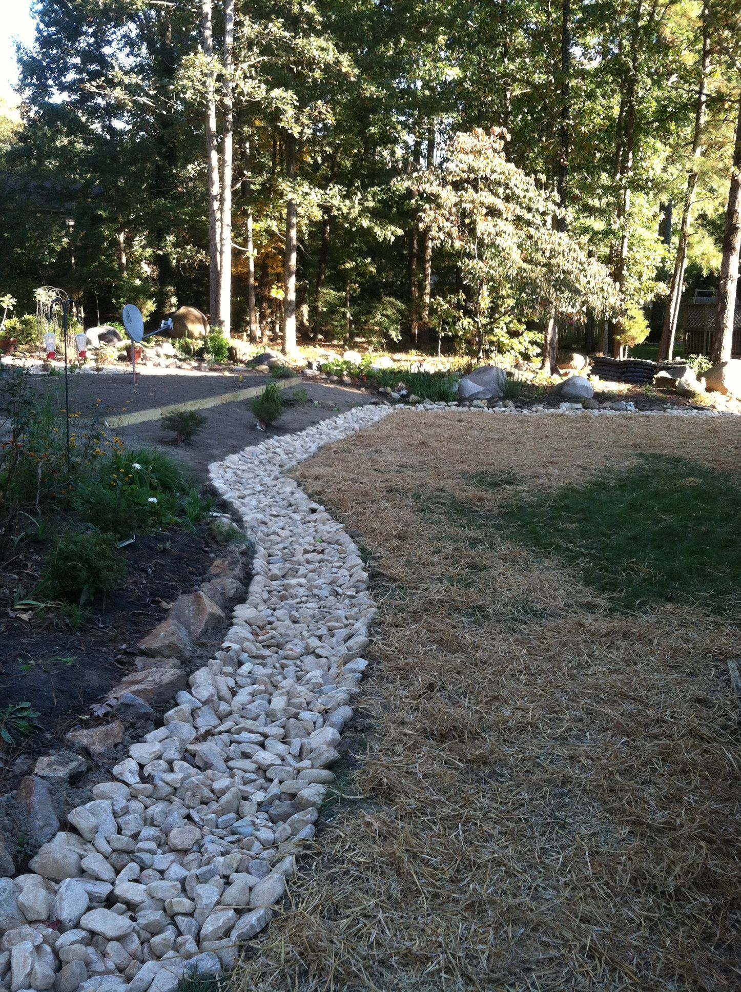 Curved white gravel path through a grassy yard beside a wooded garden area