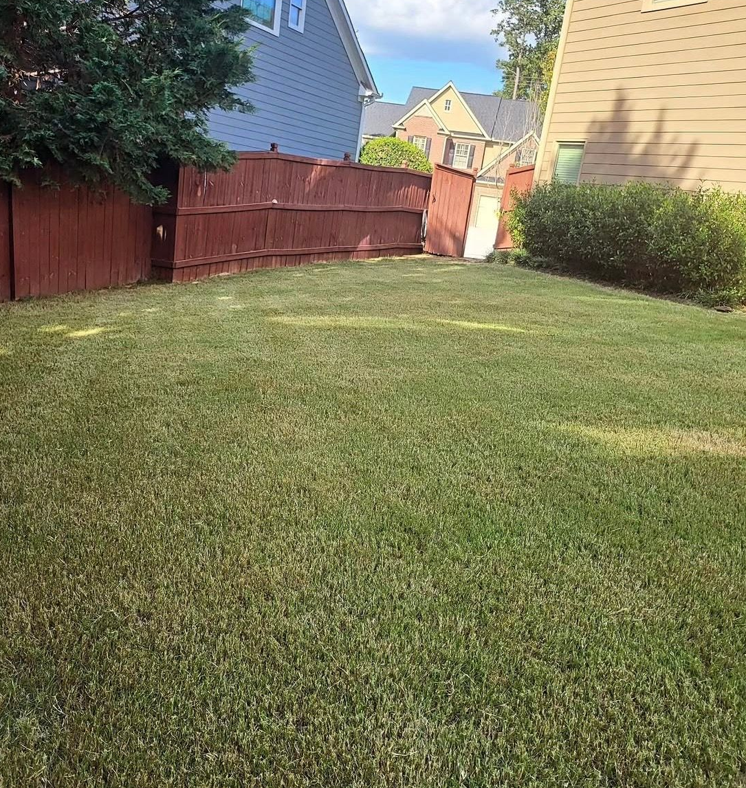 Backyard lawn with a red fence, shrubs, and neighboring houses on a sunny day