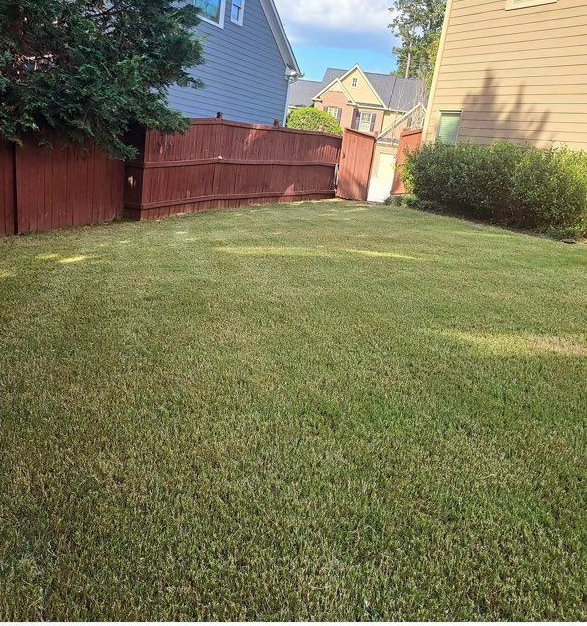 Grassy backyard with a red wooden fence between two houses on a sunny day