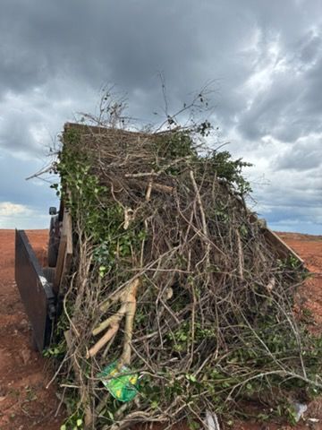 A trailer loaded with branches and yard waste on a dirt field under a cloudy sky.