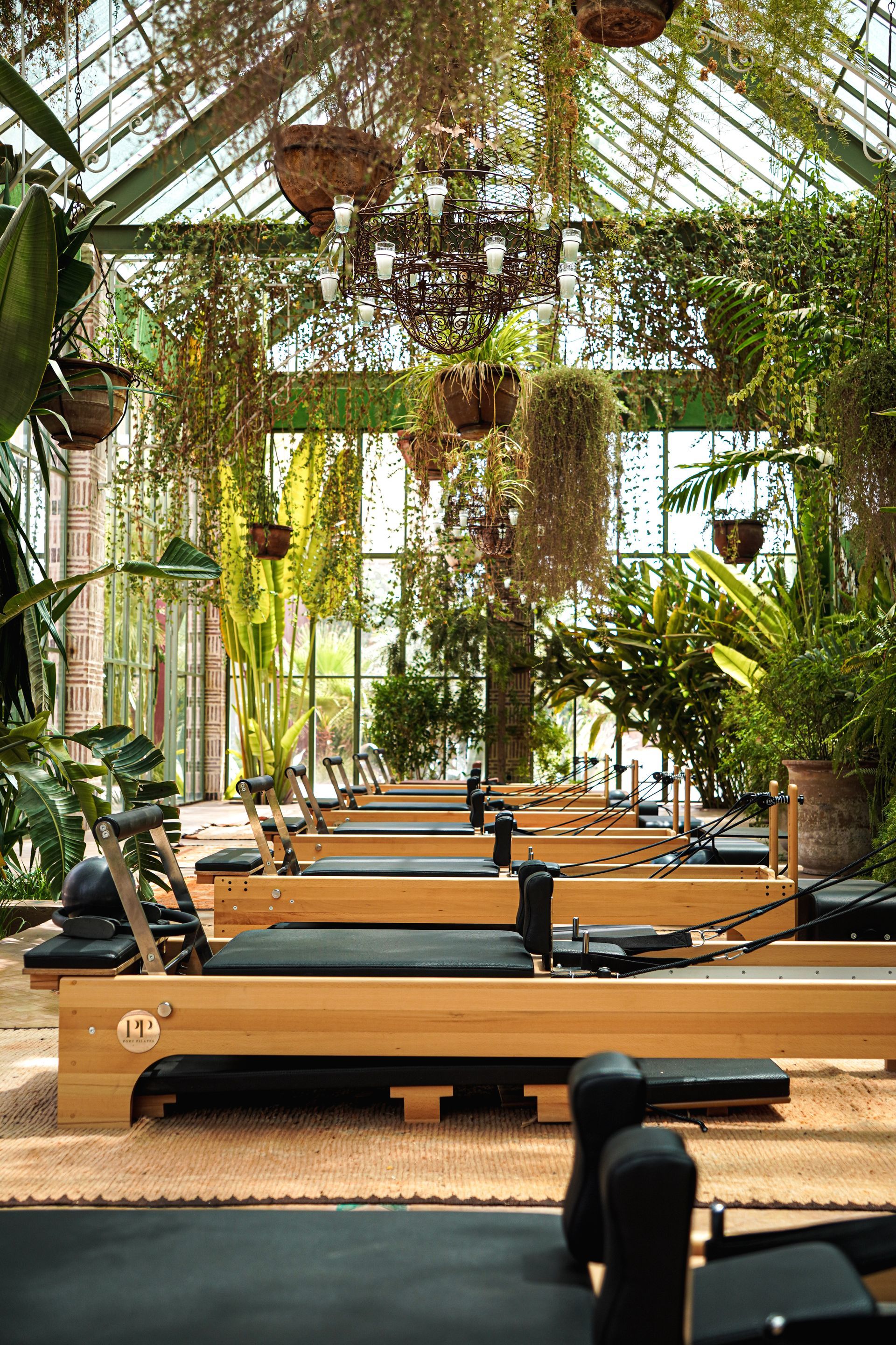 Zonnige indoor reformer pilatesstudio met rijen apparaten en hangende planten.
