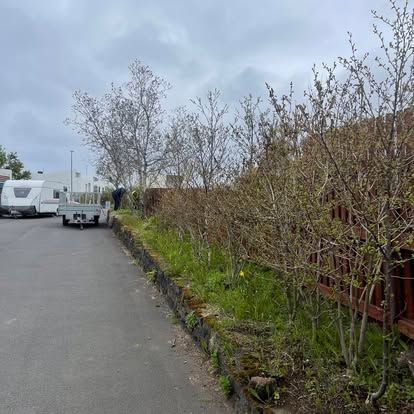 Götumynd með hjólhýsi, eftirvagni og ofvöxnum runnum meðfram vegg undir skýjuðum himni.