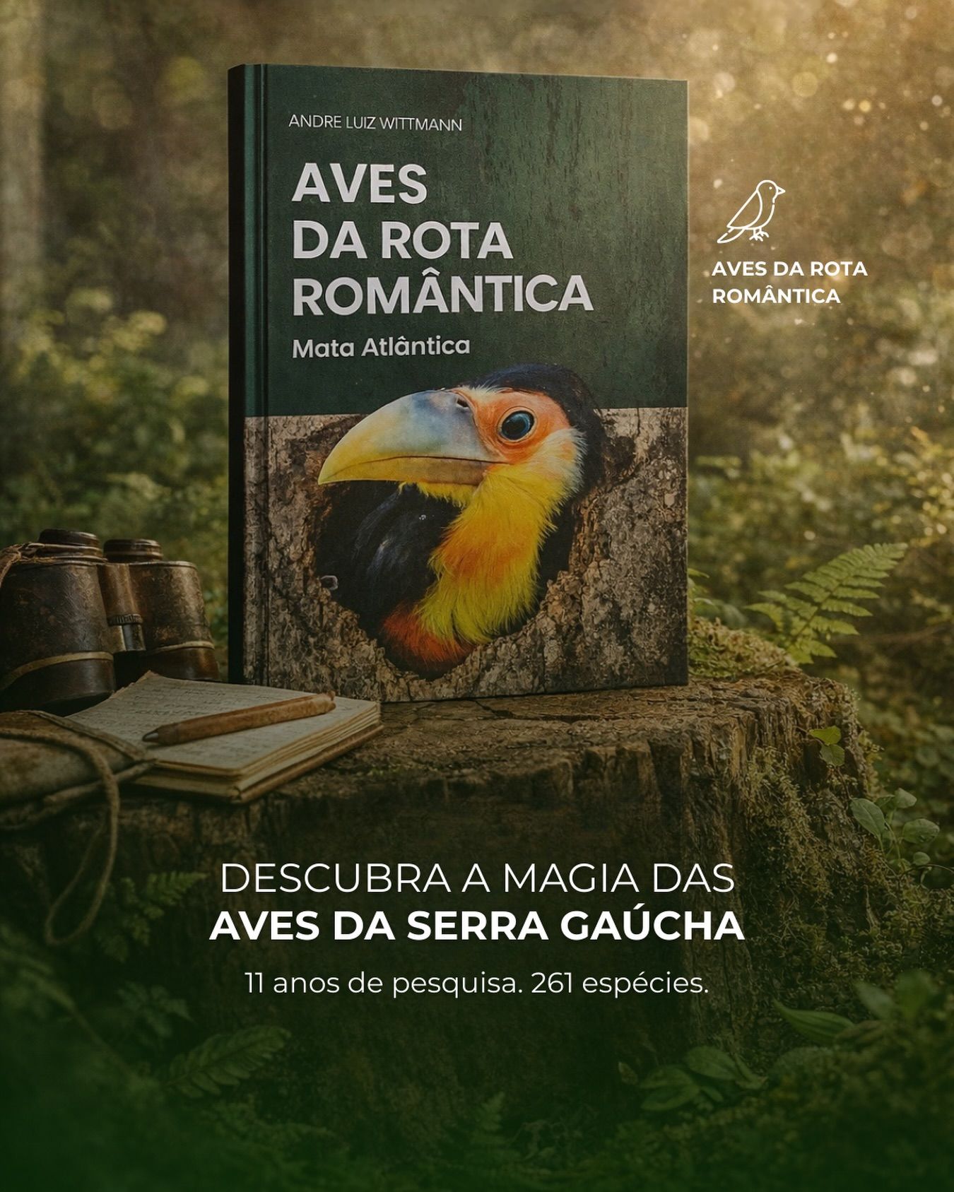 Aves da Rota Romântica