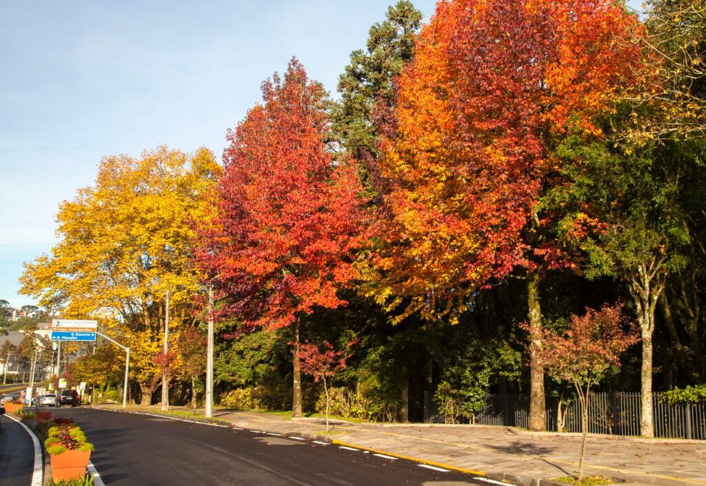 Primavera em Gramado