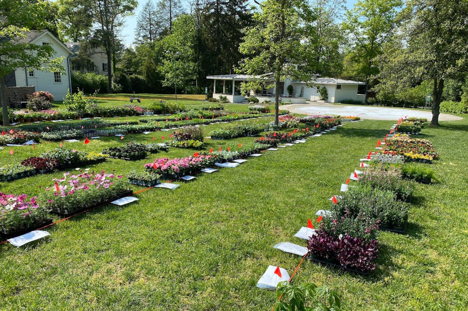 A flower garden with various potted plants arranged on a grassy field in front of a white building.