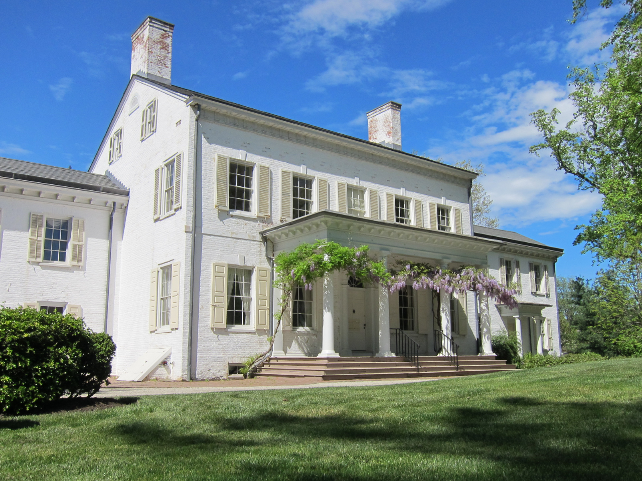 White colonial-style house with porch and green lawn, framed by purple blossoms and trees