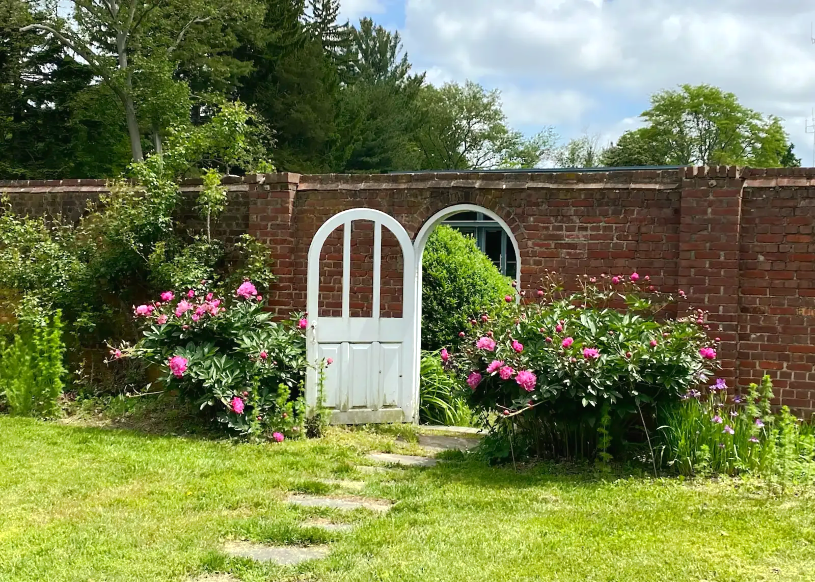 Our Garden