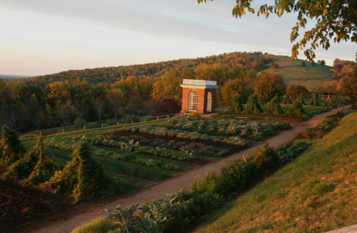 A hillside vegetable garden with a brick pavilion overlooks a wooded valley at sunset.