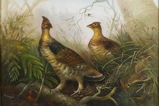 Two grouse birds in a woodland setting; one standing on a log, another nearby, and a third foraging.