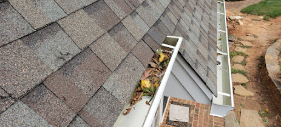 Roof with dirty gutters filled with leaves.
