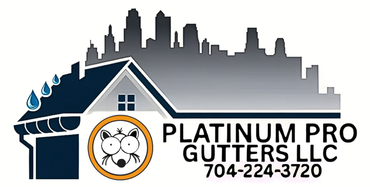 Platinum Pro Gutters LLC logo