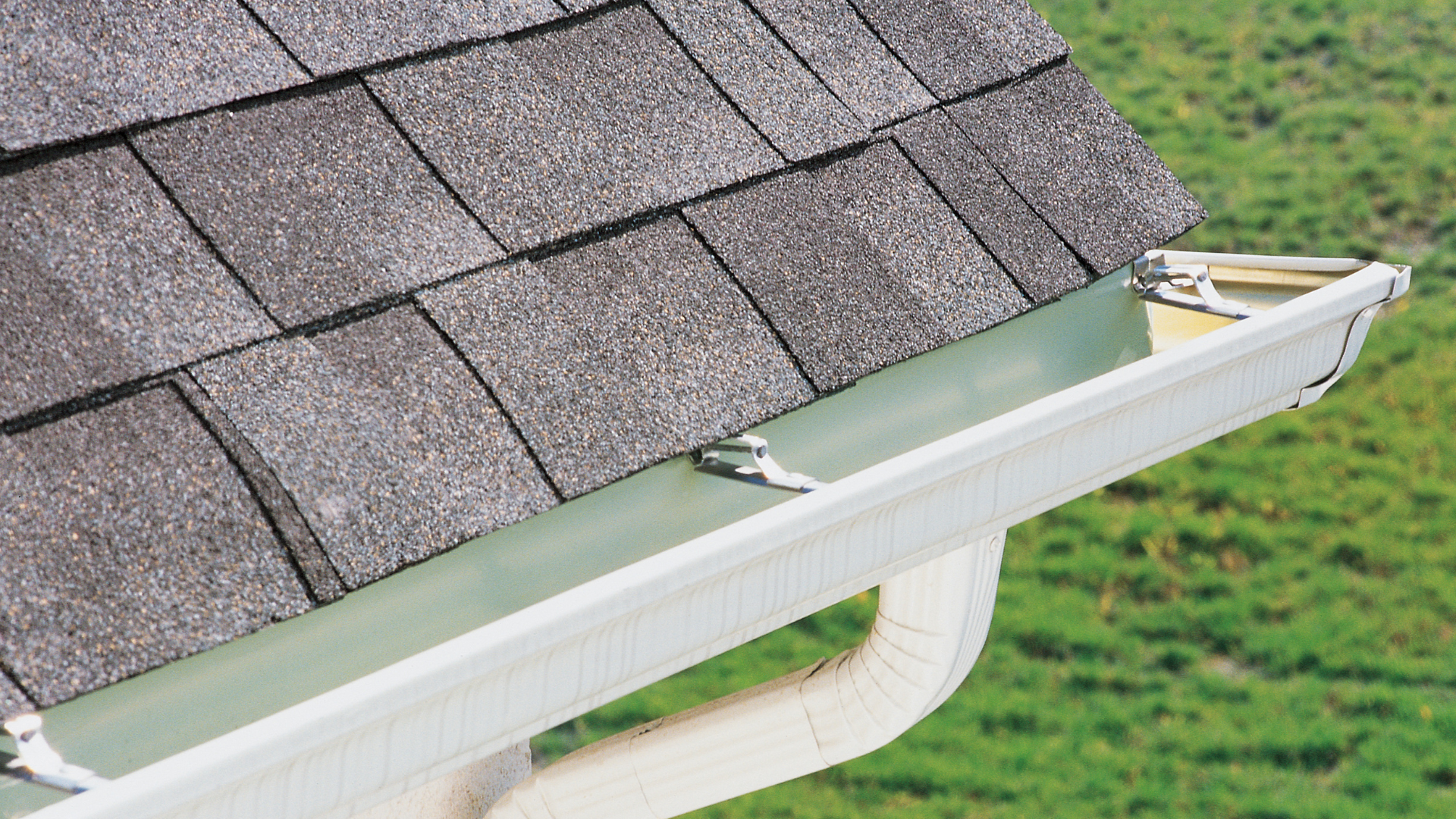 White gutter attached to a gray shingled roof, with a green background.