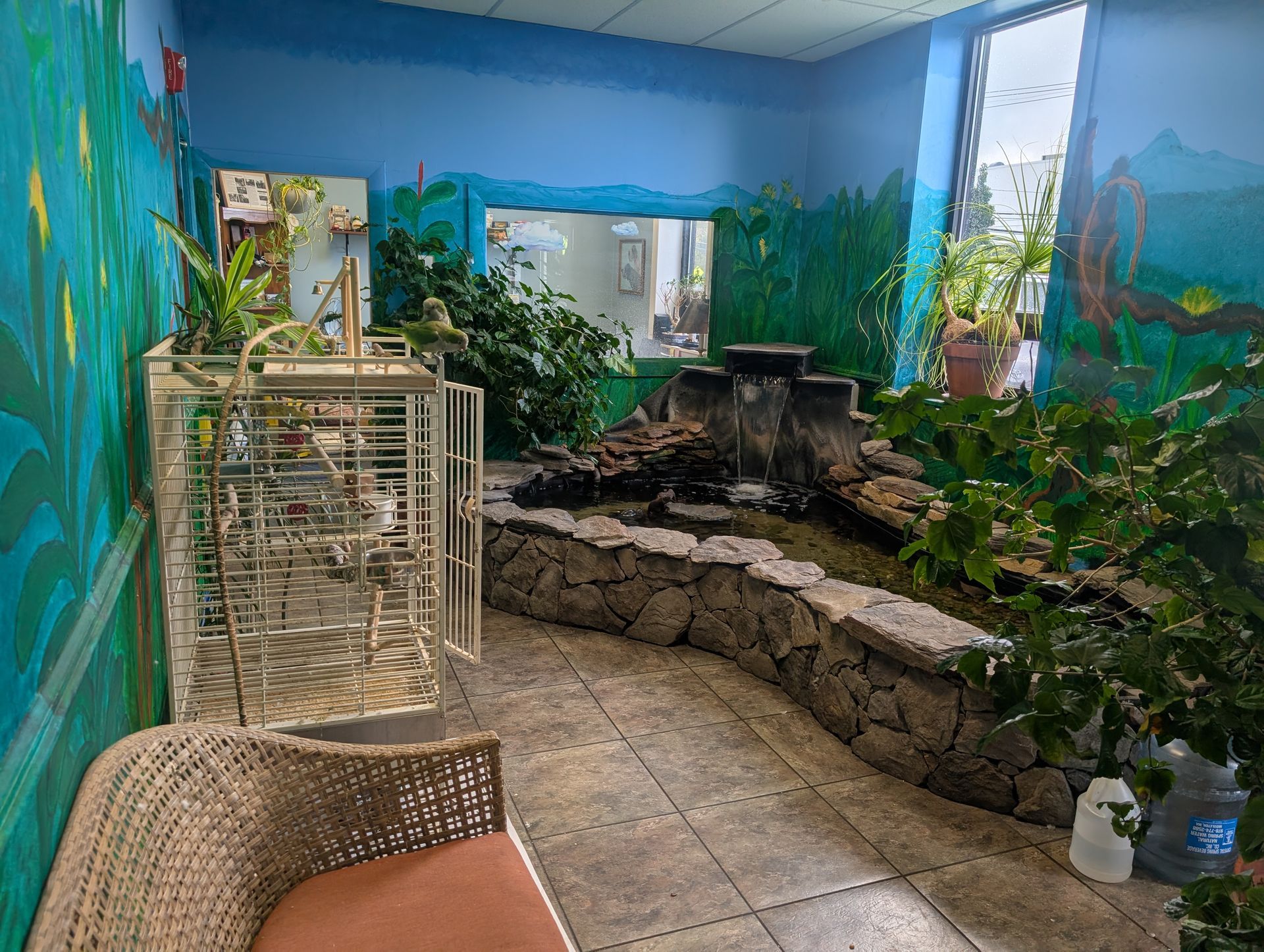 An indoor aviary with a waterfall, plants, and a bird cage, with blue and green walls. | Autobahn Performance Inc