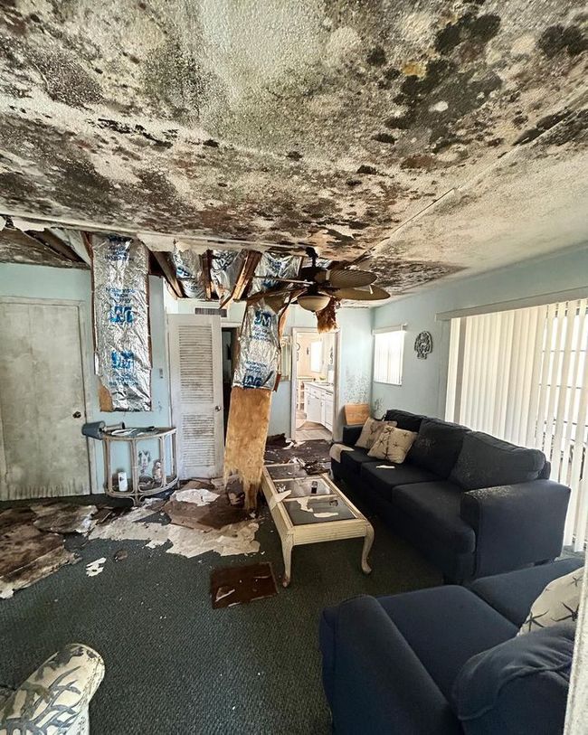 Mold remediation technician in protective gear