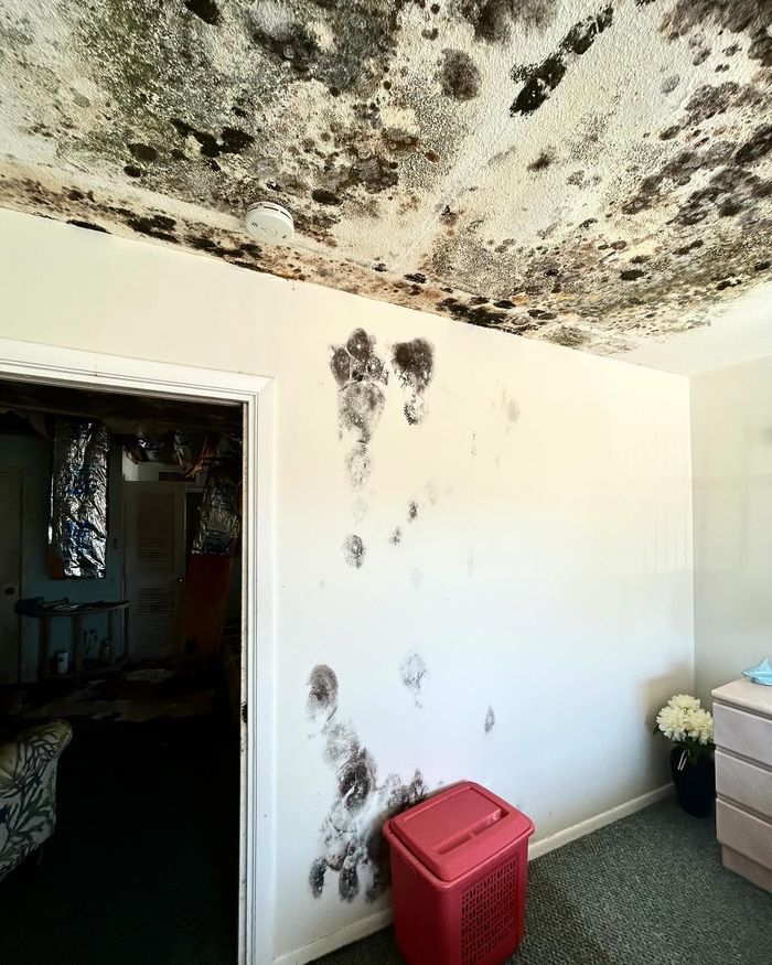 Industrial drying equipment running inside a water-damaged Florida home