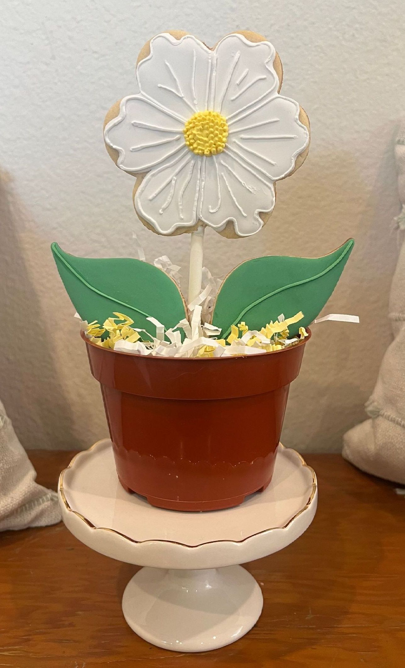Cookie flower in a little pot.