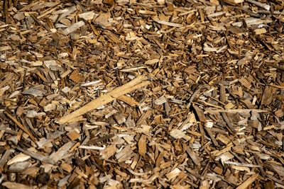 A close-up of light and dark brown wood chips spread across the ground.