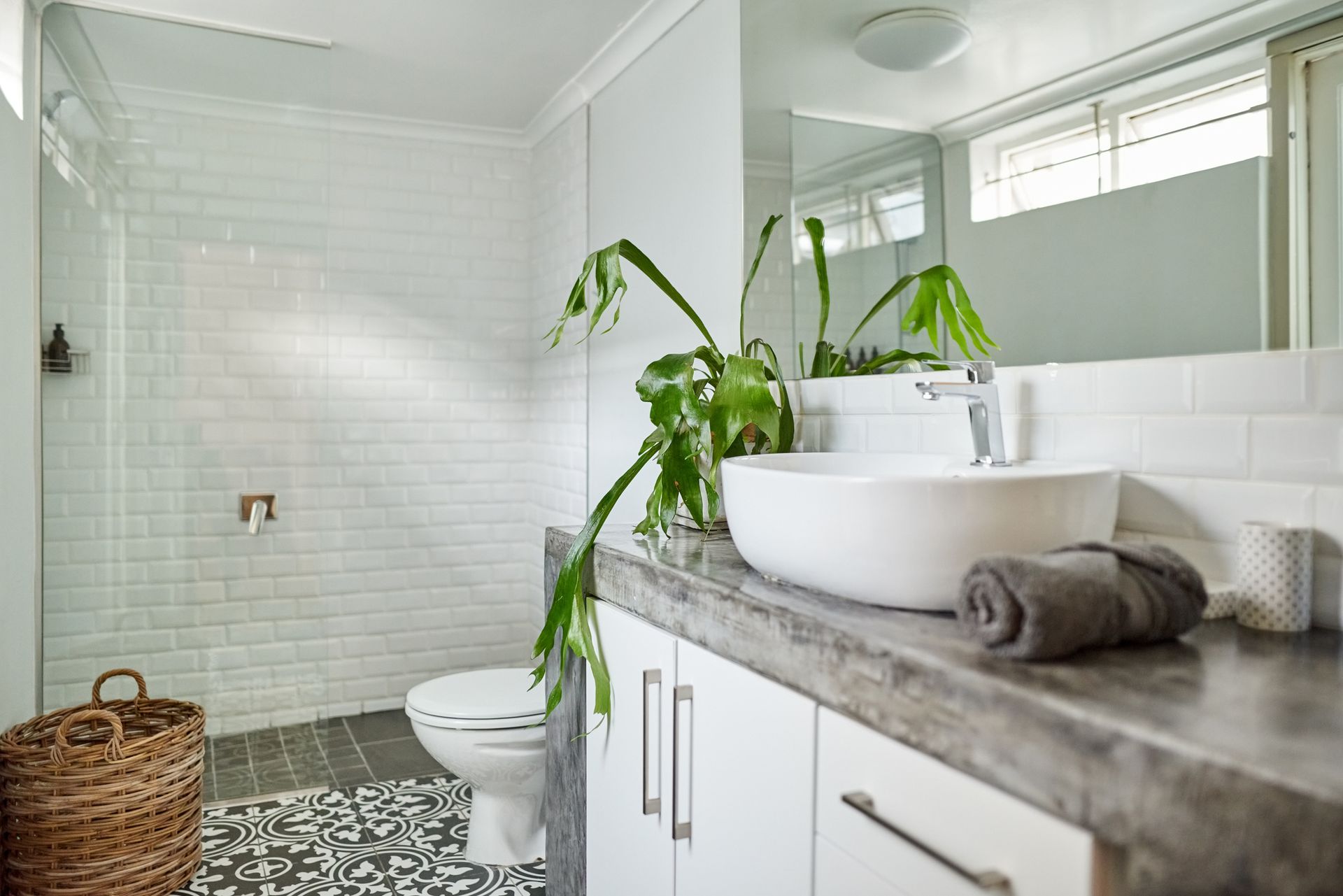 Contemporary bathroom interior, with white walls and counters, and a plant on the counter sink. Contemporary bathroom interior, with white walls and counters, and a plant on the counter sink.