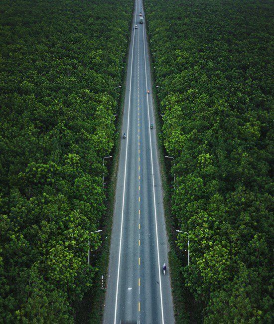 A straight road cuts through dense green forest, seen from above with a few vehicles on it.