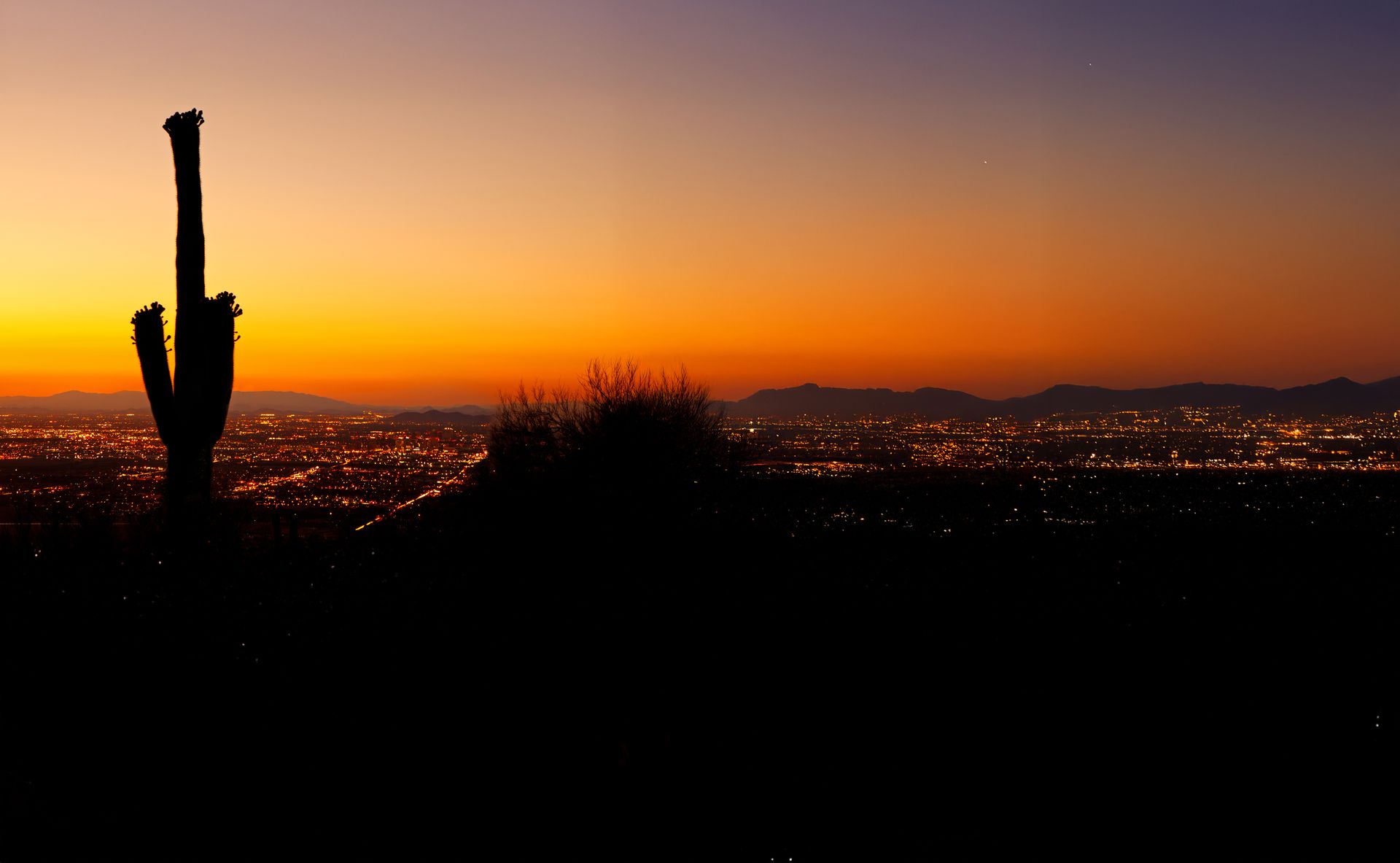 Desert sunset with saguaro cactus