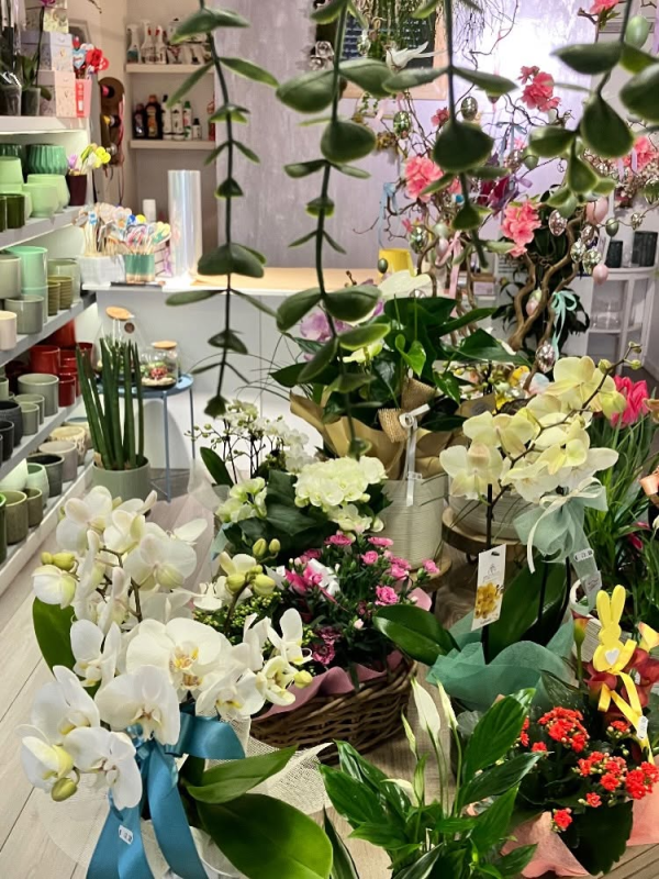 Esposizione di un negozio di fiori con orchidee bianche, piante verdi e bouquet colorati disposti su scaffali e tavoli
