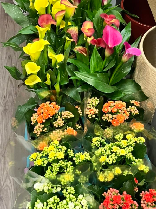 Composizione floreale con fiori dai colori vivaci, tra cui fiori gialli, rosa, arancioni e rossi, avvolta nella carta