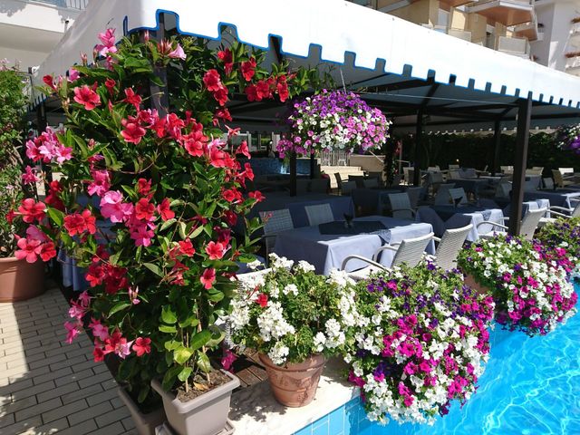 Patio all’aperto pieno di fiori, con corolle rosa, bianche e viola appese intorno ai tavolini del caffè e al pergolato
