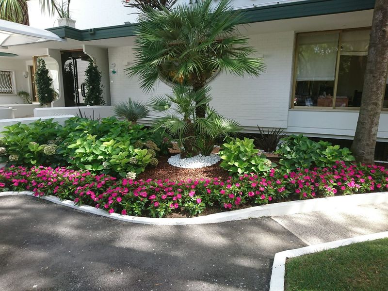 Giardino curato con fiori rosa, arbusti e una palma davanti a un edificio