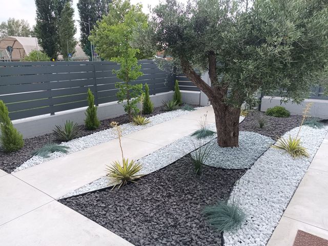 Giardino moderno curato con un ulivo, sentieri in ghiaia bianca e aiuole con pacciamatura scura accanto a una recinzione grigia