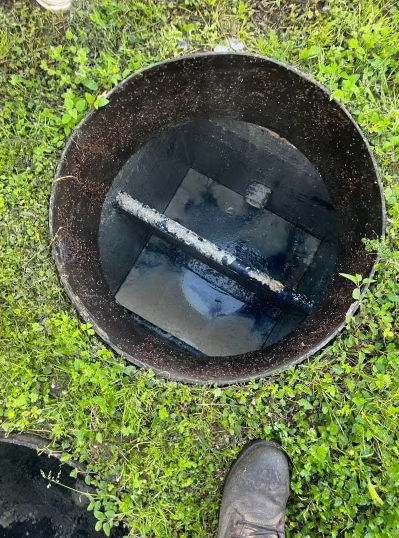 Black bucket filled with dark liquid and metal plates, set on green grass; a shoe is in the foreground.