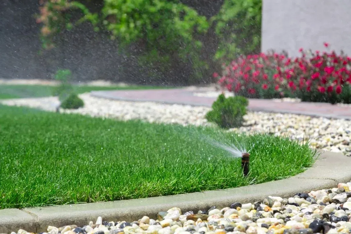 Garden sprinkler watering a curved lawn beside a stone path and flower bed.