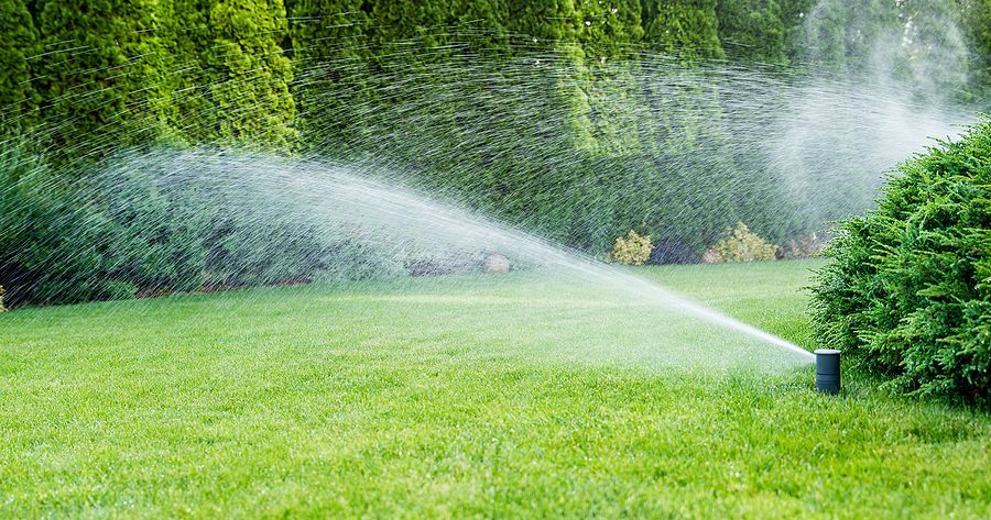 Lawn sprinkler spraying water across a green grass yard with bushes in the background