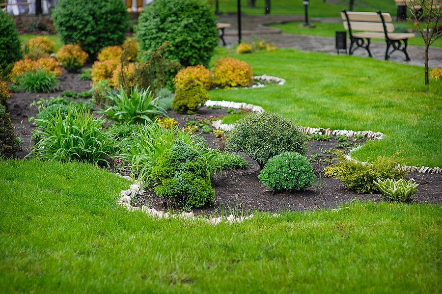 Landscaped garden bed with green shrubs, flowers, and curved stone edging beside a lawn and benches