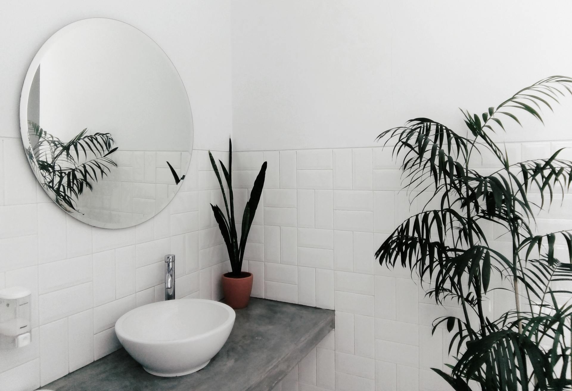 renovar un baño pequeño valladolid