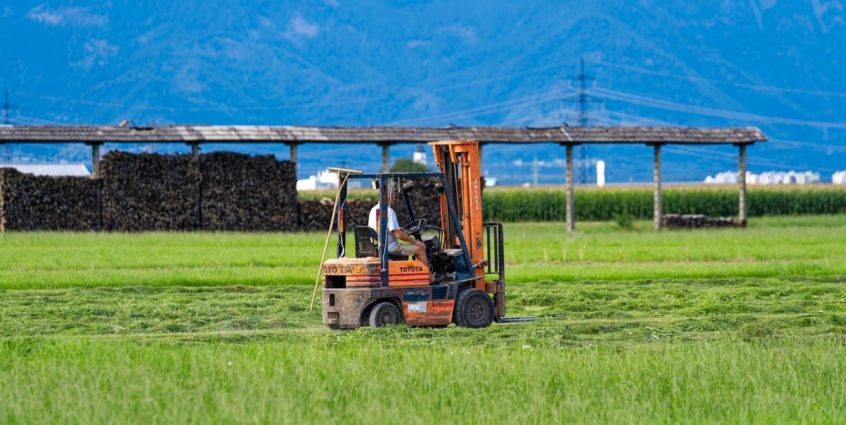 carrelli elevatori Toyota