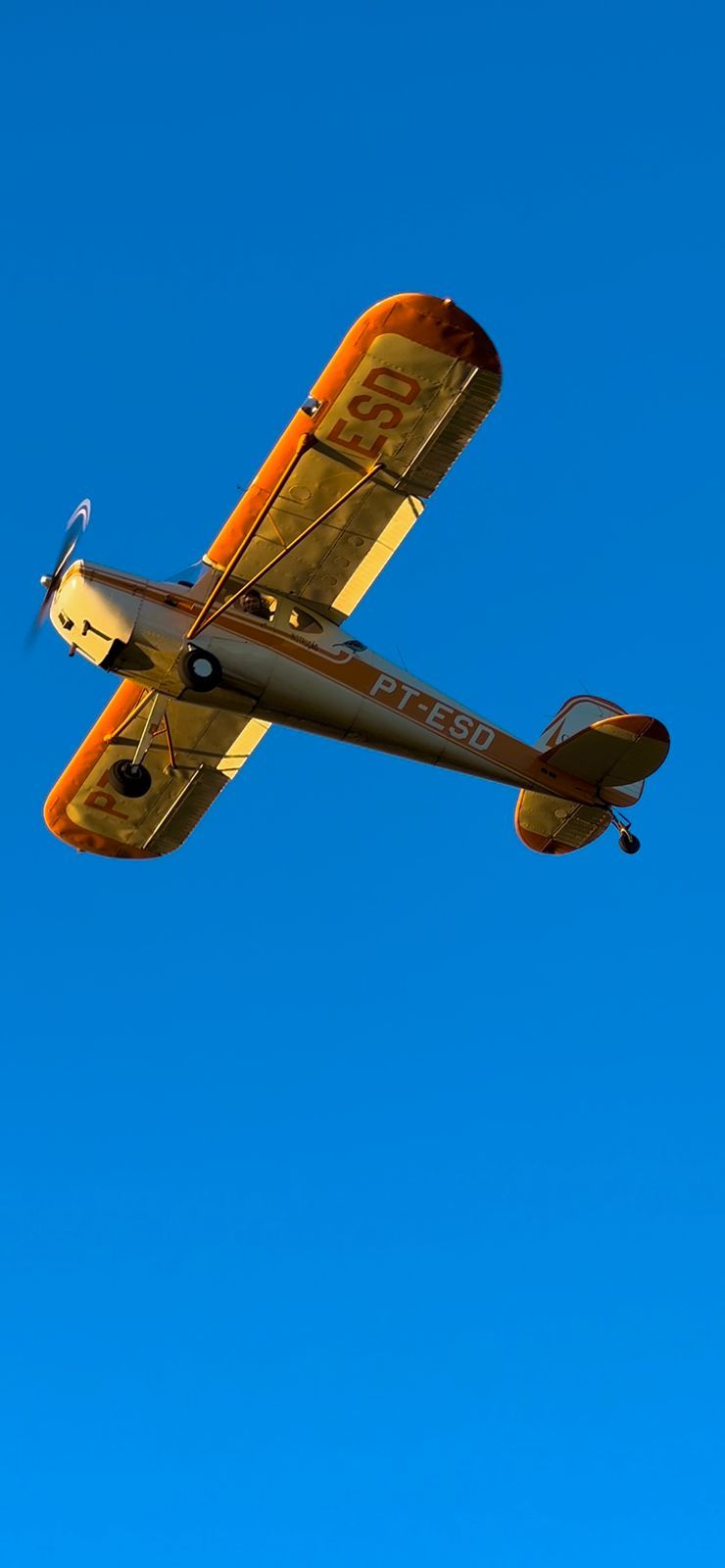 APRESENTAÇÃO PILOTO PRIVADO