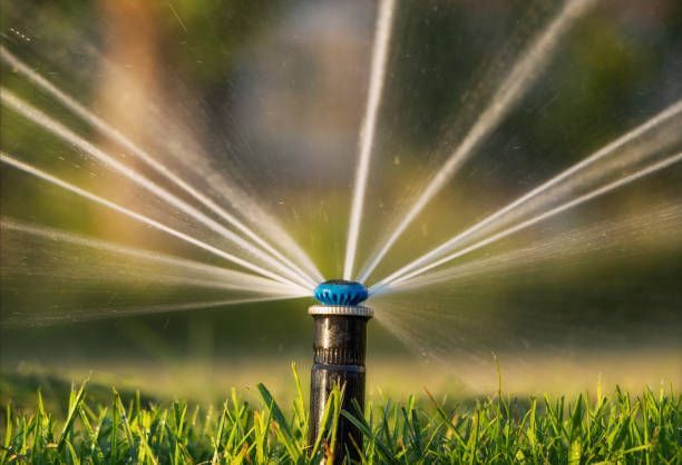 A sprinkler is spraying water on a lush green lawn.