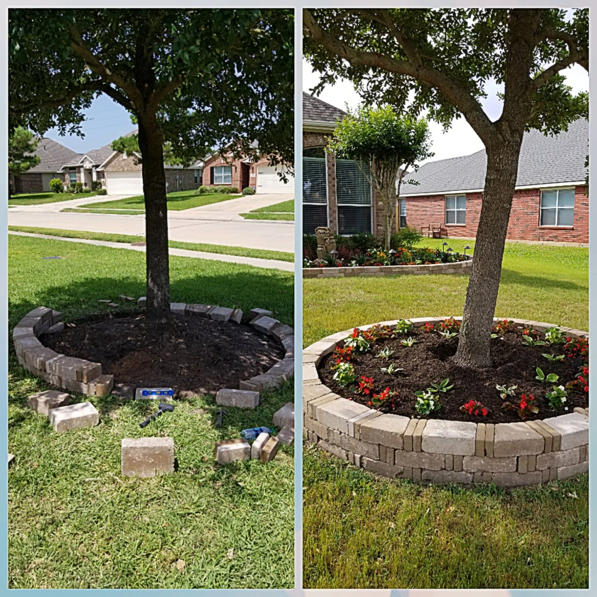 A before and after picture of a tree in a garden.