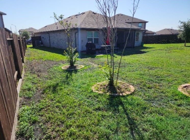 Lawn treatment improvement
