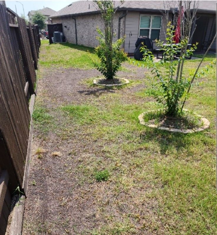 Before image of lawn treatment