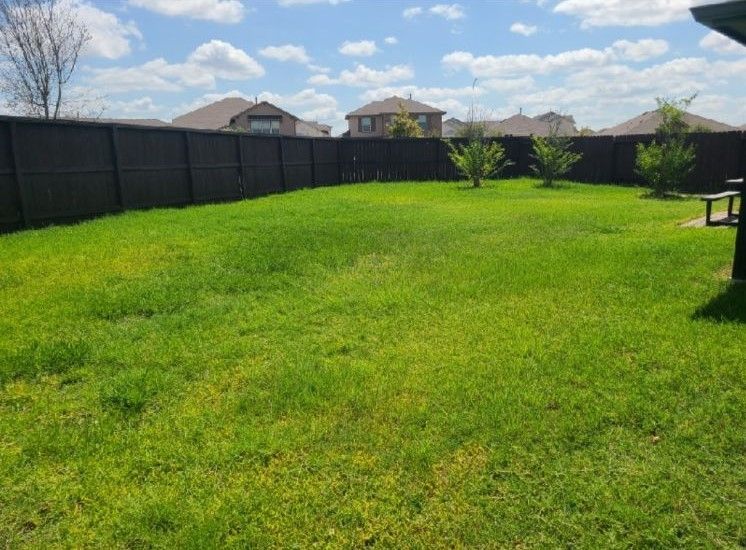 Lush Lawn after the Lawn Treatment