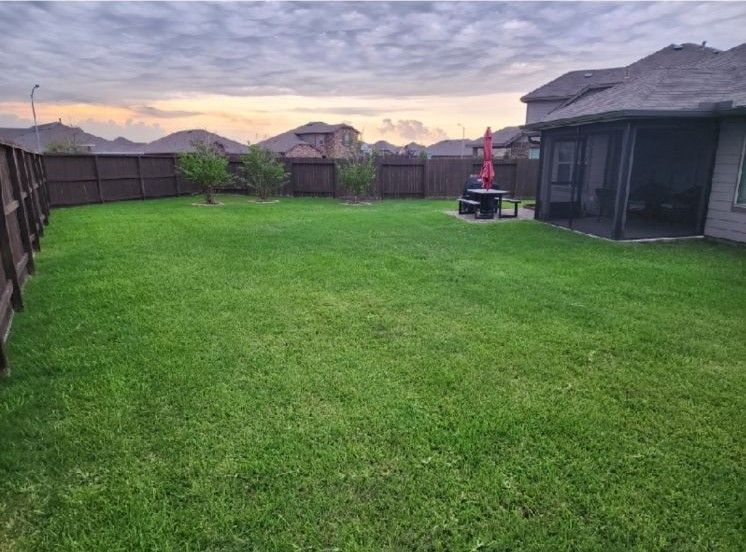 Lush Lawn after the Lawn Treatment