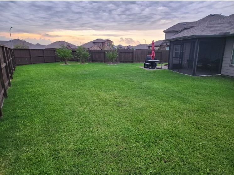 A lush green backyard with a fence and a picnic table.