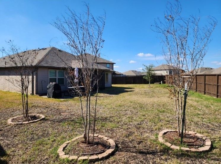 Before image of lawn treatment