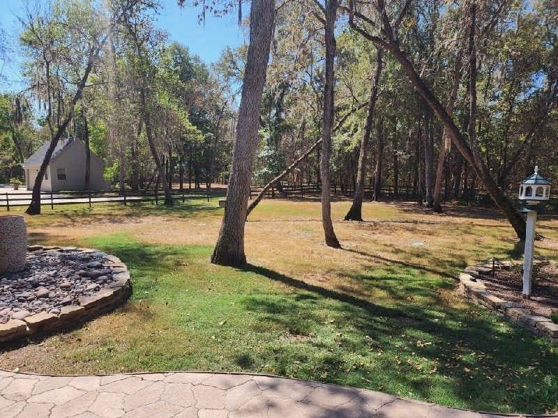 A yard with trees and a birdhouse in the middle of it