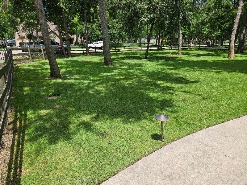 A lush green lawn is surrounded by trees and a fence