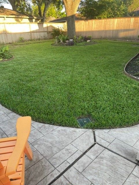 A lush green lawn with a wooden fence in the background