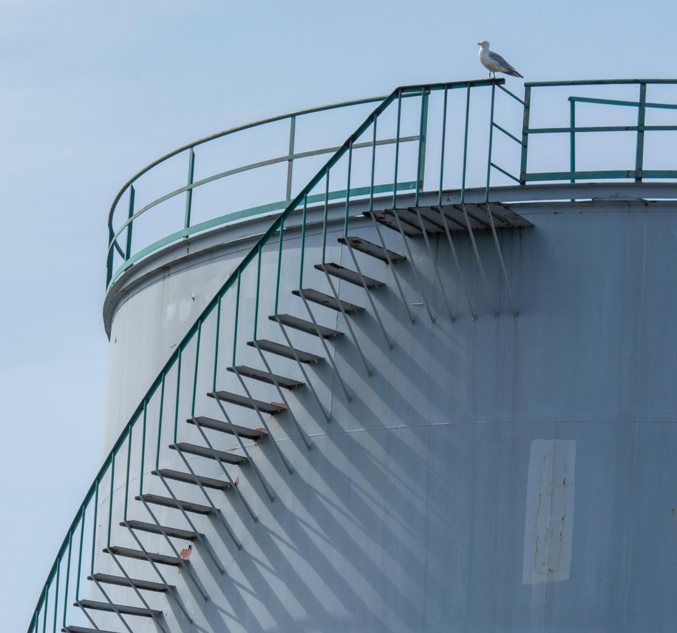 Bird perched on a curved staircase attached to a large white storage tank