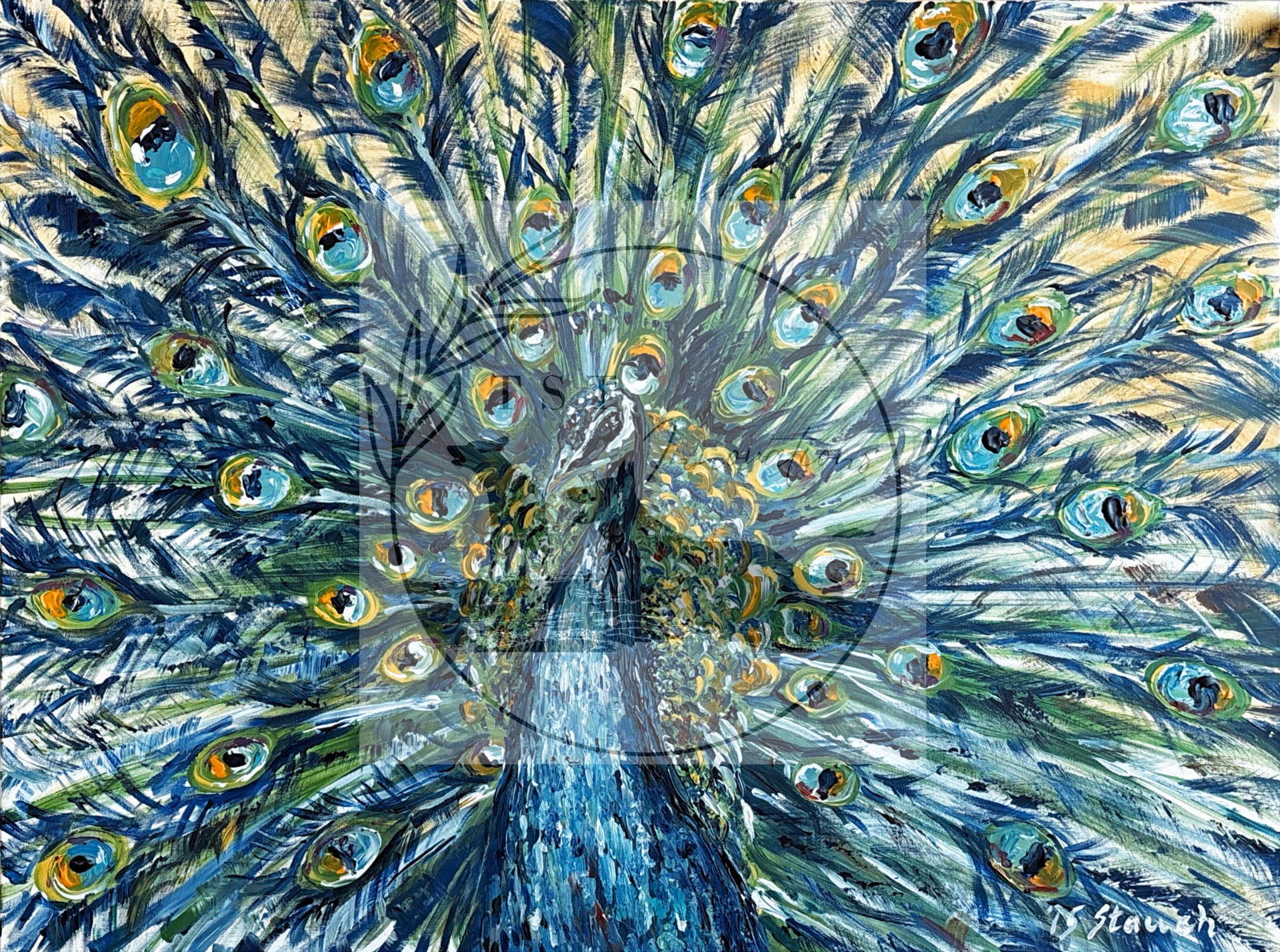 Peacock