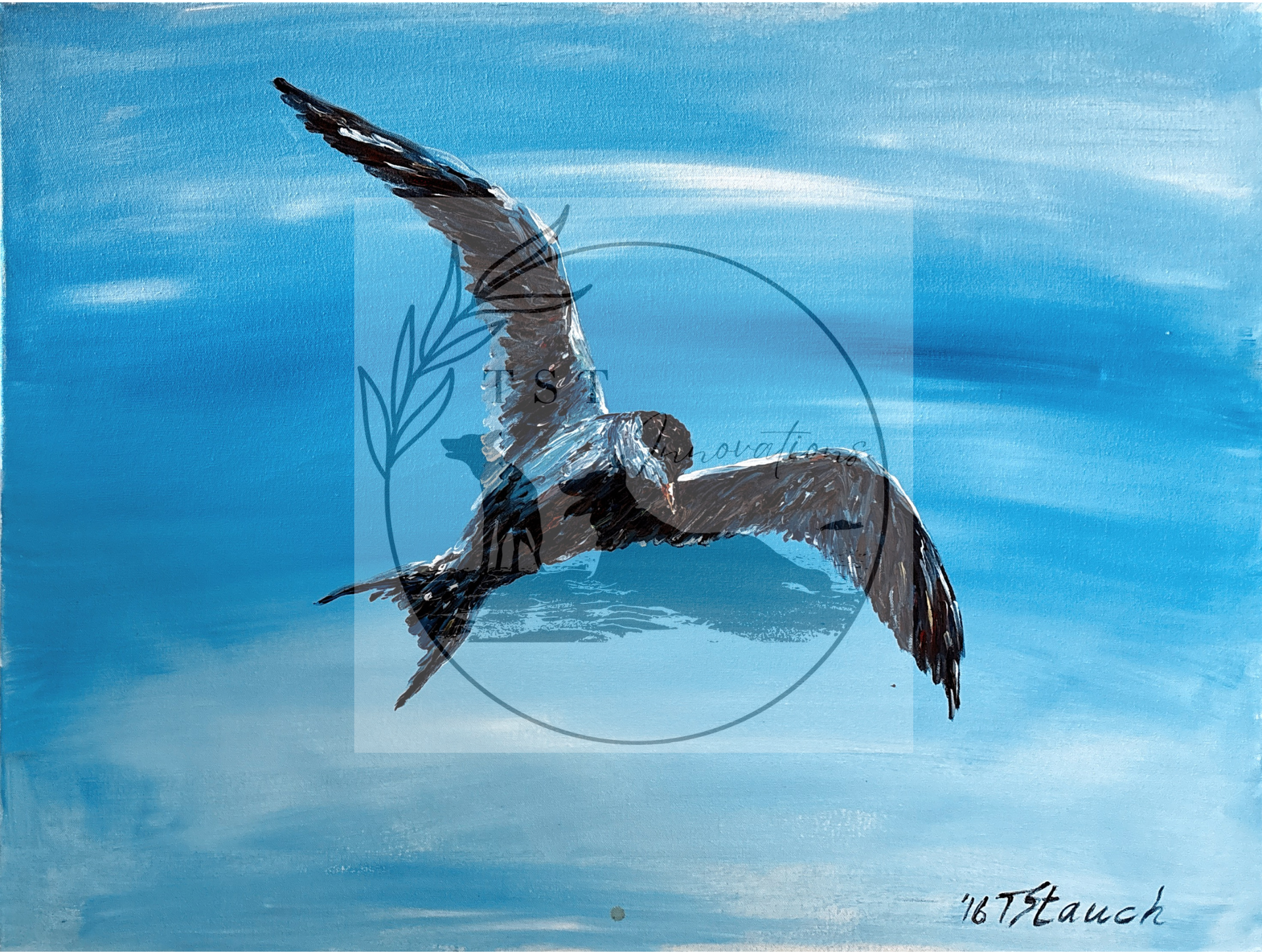 Flying Seagull